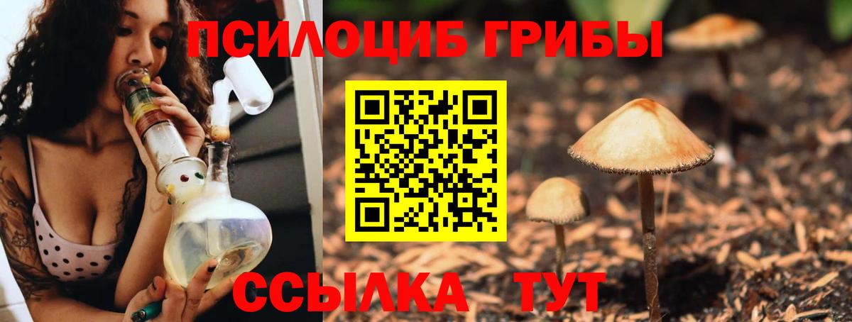 Псилоцибиновые грибы ЛСД  Галлюциногенные грибы Psilocybine cubensis  Вход с VPN  Великий Устюг 
